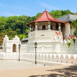 Kandy -Daladamaligawa